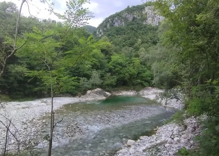 Sen * コバリード